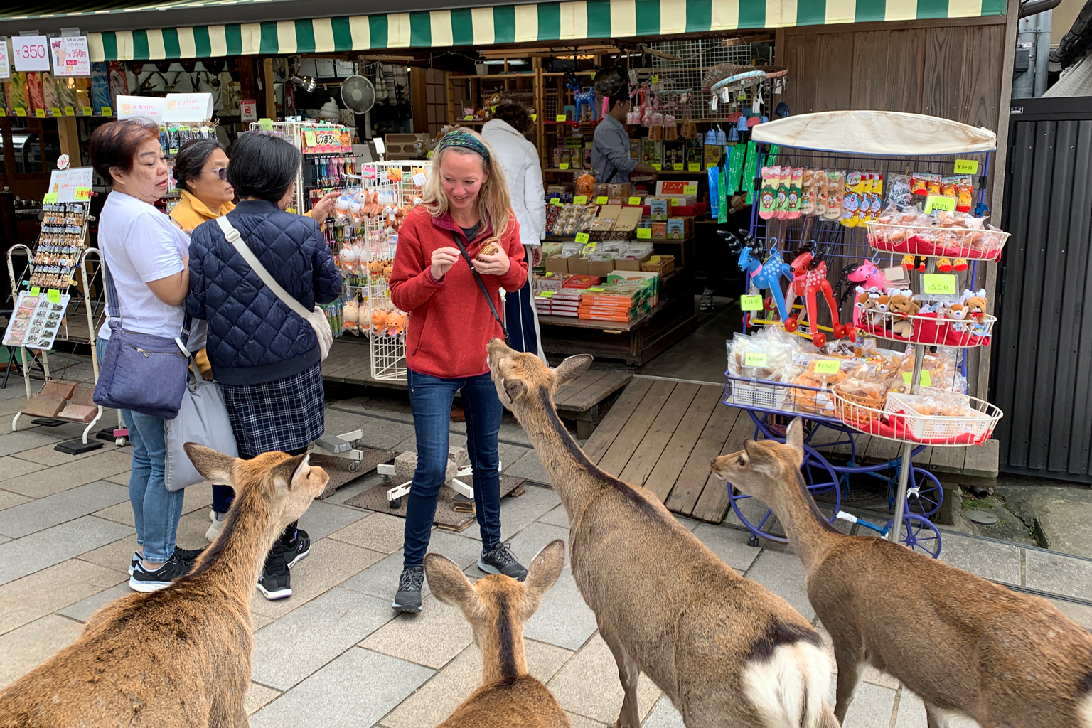 東大寺参道の鹿